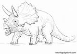 Jurassic Dinosaur Park Triceratop sketch template