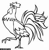 Rooster Drawing Coloring Drawings Pages Fighting Colouring Cartoon Crowing Roosters Farm Beautiful Outline Animal Color Chicken Line Kids Simple Clipart sketch template