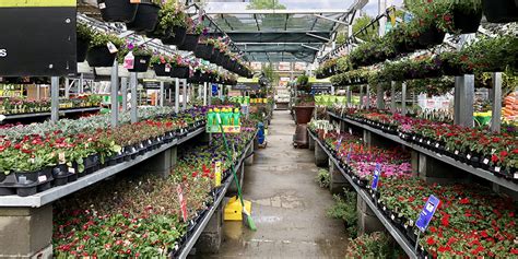 home depot sustainable garden  rainwater   plants thriving