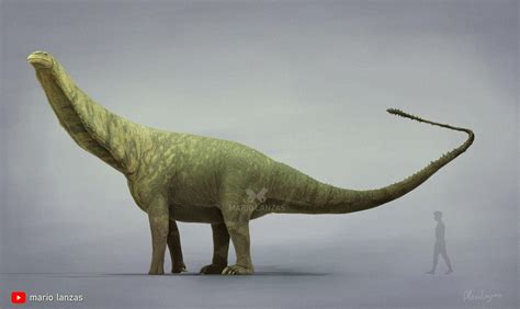 brontosaurus  mariolanzas  deviantart