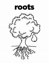 Coloring Pages Plant Parts Tree Planting Clipart Plants Label Roots Colouring Comments Popular Library Coloringhome sketch template