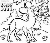 Deer Baby Coloring Pages Print sketch template