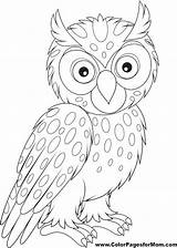 Owl Coloring Pages Colouring Printable раскраски Owls Pattern Color Drawing Book Patterns для Choose Vector Board Embroidery Bird Kids совой sketch template