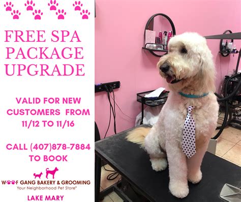 special offer   grooming customers receive   spa package