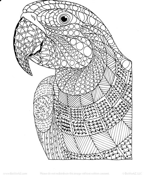 pin  zentangle coloring pages