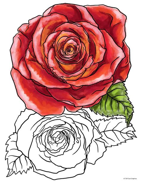 coloring pages  adults roses coloring sheets jpg etsy