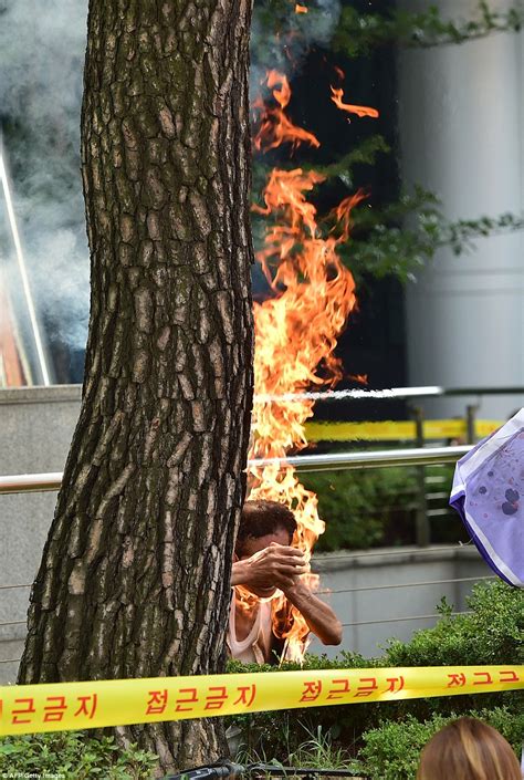 man sets himself on fire in protest at japan s refusal to say sorry to comfort women daily
