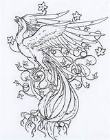 Phoenix Line Drawing Coloring Tattoo Pages Deviantart Wip Sketch Template Getdrawings sketch template