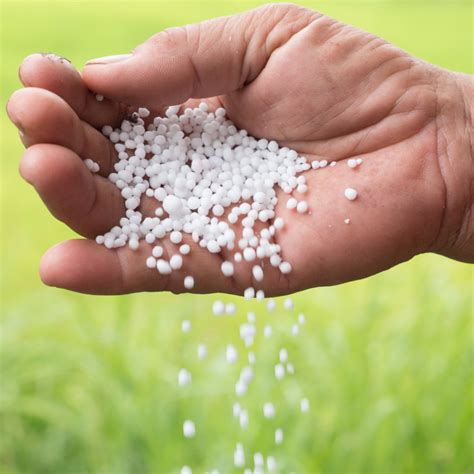 webjoernaal kynoch fertilizer