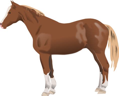 horse clip art  clkercom vector clip art  royalty