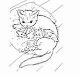 Coloring Pages Baby Cat Cute Animal Cats Print Adorable Ages Comments Coloringhome Diposting Oleh Admin Di sketch template