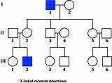 Pedigree Genetics Inheritance Recessive Addiction Chart Nicotine Learn Gene Pattern Autosomal Genes Quia Utah Tracing Tutorial Found Biology Called Dominant sketch template