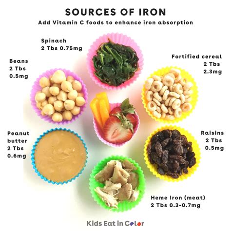 foods high  iron  anemia