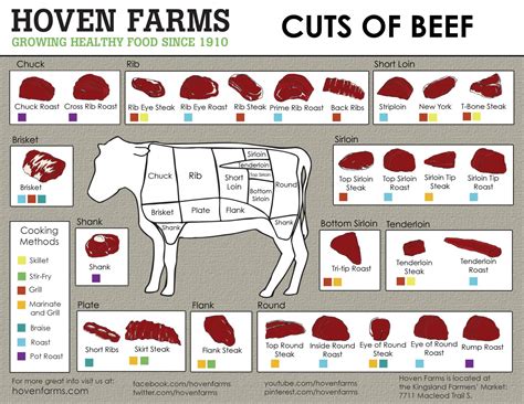 hoven farms cuts of beef chart 18 x28 45cm 70cm poster