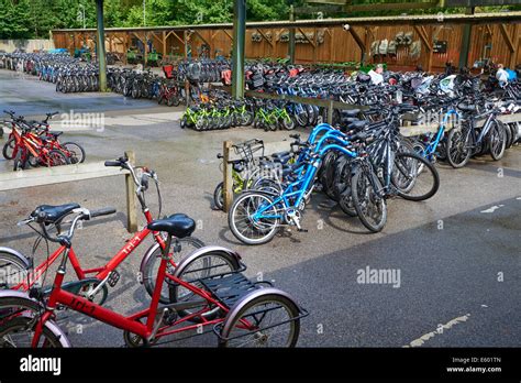 cycle hire centre center parcs sherwood forest uk stock photo alamy