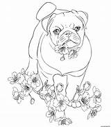 Doux Anglais Compagnon Gentil Bulldog sketch template