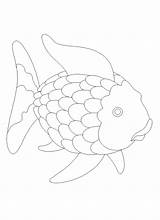 Fish Rainbow Template Coloring Printable Outline Clipart Cutouts Paper Tissue Cute Craft Colored Cliparts Activities Board Clip Ocean Library Glue sketch template