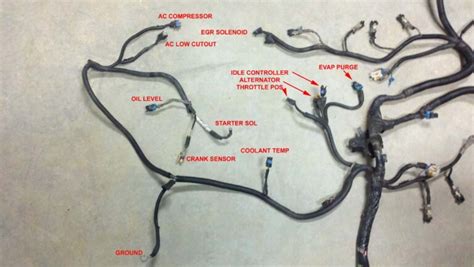vortec wiring harness diagram headcontrolsystem