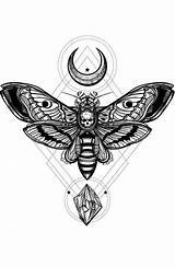 Moth Hawaiian Hawk Lambs Moths Occult Occulte Brazo Relleno Corporal Warrior Moons Admin sketch template
