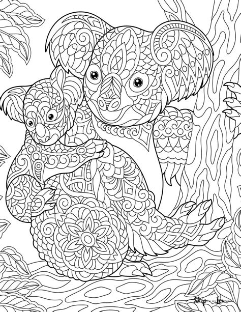koala coloring pages skip   lou