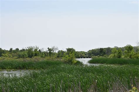 preserving  slough iowa natural heritage foundation