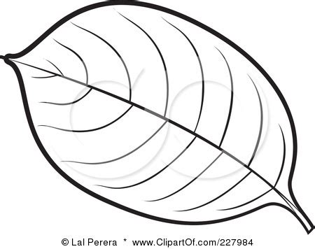 leaves outline leaf coloring page fall leaves coloring pages