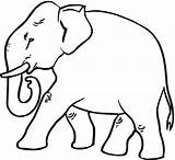 Elephant Coloring Pages Animales Peligro Extinción Para Imagen Wildlife Animals Strutting Con sketch template