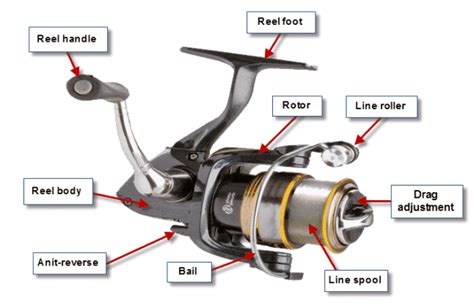 spinning reel complete guide