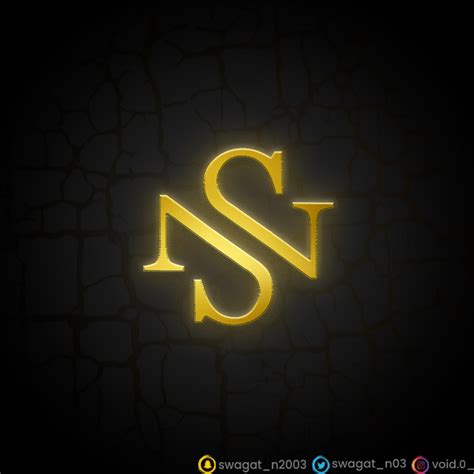 sn sn logo letter monogram slash  modern logo vector image