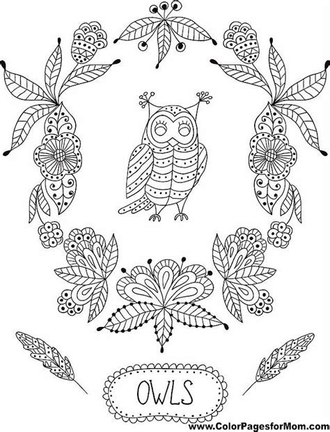 pin  ariel  coloring owl owl coloring pages coloring pages owl