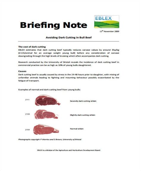 briefing note templates  sample  format