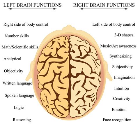 part   brain controls   pictures