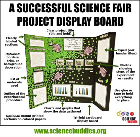 mastering  project display board science buddies blog