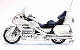Goldwing Motorcycle Cleary Terence Trike sketch template