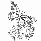 Monarch Adults Morpho Mandala Mariposas Barnet Ditt Beste Getdrawings sketch template