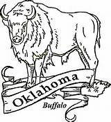 Oklahoma Coloring Buffalo Pages Printable Drawing Printables Bills State Sheets History Color Crafts Symbols Flag Paper Tattoo Categories Skull Dolls sketch template