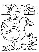 Coloring Old Macdonald Farm Had Pages Popular Book sketch template