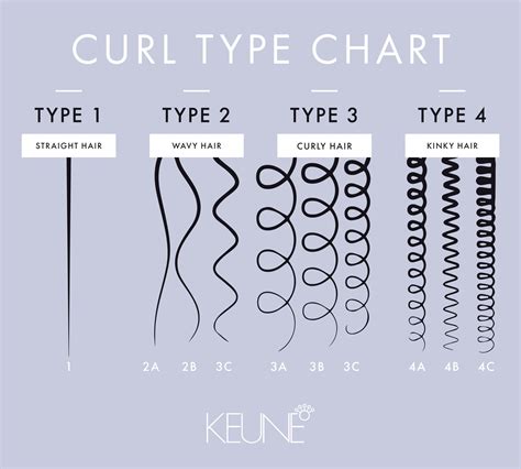curl patterns  whats  curl type keune educationkeune education