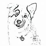 Coloring Australian Shepherd Pages Dog Printable Cat Cattle Color Getdrawings Getcolorings Colorings sketch template