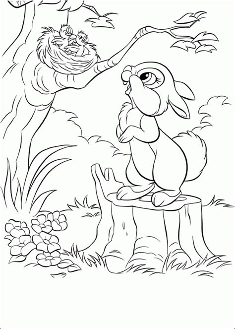 httpcoloringpagesabccom coloring pages  kids bunny coloring