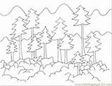 Forest Coloring Pages Printable Scene Colouring Color Trees Rainforest Getdrawings Fire Animals Tree Animal Print Printablecolouringpages sketch template