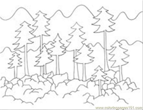 images  forest coloring pages printable forest trees