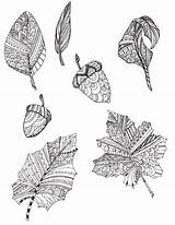 Automne Coloriage Imprimer Feuilles Plantes Coloriages Feuille Artherapie Gratuitement sketch template