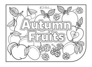 autumn fruits colouring  picture   kid colouring pages fall