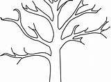 Drzewo Kolorowanka Druku Drzewa Rysunek Trunks Powyżej Znajduje Przedstawia Kategorii sketch template