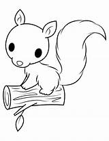 Squirrel Museprintables sketch template
