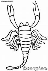 Coloring Pages Scorpion Scorpions Popular Colouring sketch template