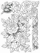 Adulte Fleurs épinglé sketch template