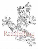 Frog Zentangle Pages Printable Easy Template sketch template