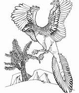 Microraptor Archaeopteryx Jurassic Coloring Pages Bird Coloringpagesonly sketch template